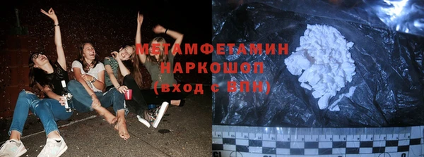 дмт Болотное